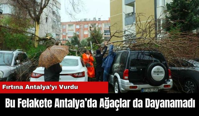 Bu Felakete Antalya’da Ağaçlar da Dayanamadı