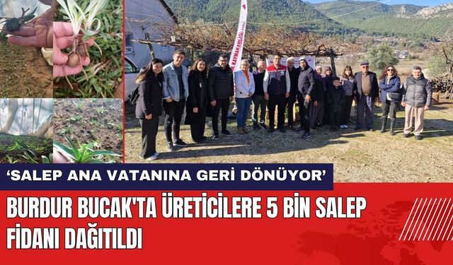 Burdur Bucak'ta Üreticilere 5 Bin Salep Fidanı Dağıtıldı