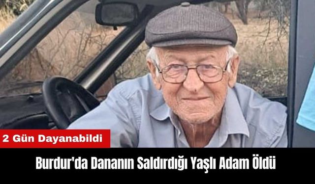 Burdur'da Dananın Saldırdığı Yaşlı Adam Öldü