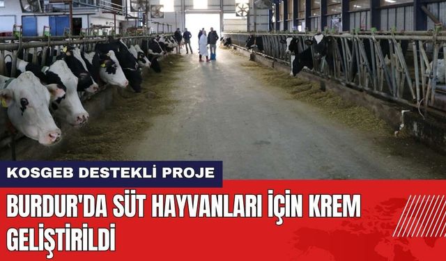 Burdur MAKÜ'de Süt Hayvanları İçin Krem Geliştirildi