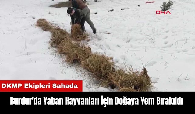 Burdur'da Yaban Hayvanları İçin Doğaya Yem Bırakıldı