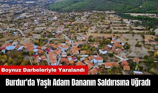 Burdur'da Yaşlı Adam Dananın Saldırısına Uğradı