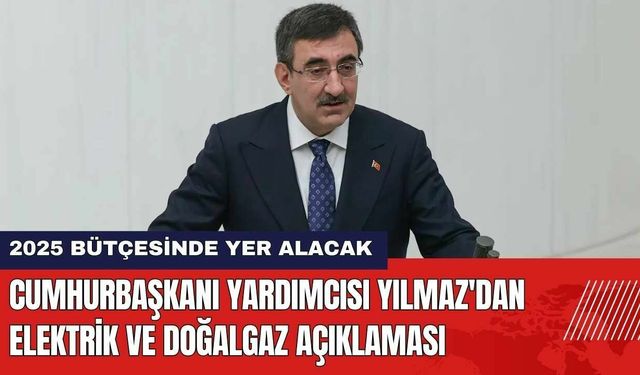 Cumhurbaşkanı Yardımcısı Yılmaz'dan Elektrik ve Doğalgaz Açıklaması