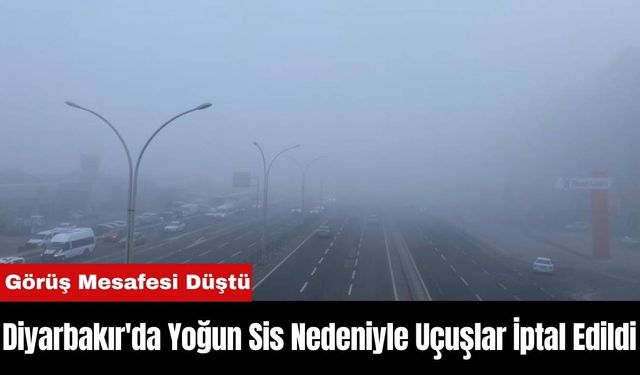 Diyarbakır'da Yoğun Sis Nedeniyle Uçuşlar İptal Edildi