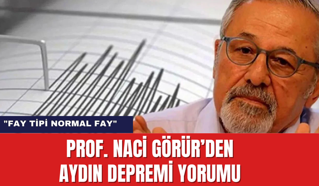 Prof. Naci Görür’den Aydın Depremi Yorumu: "Büyük Menderes Grabeninin Kuzey Horstu Üzerinde Normal Fay"