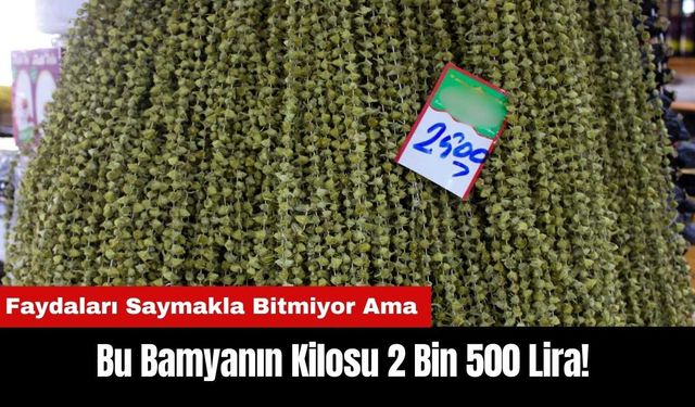 Faydaları Saymakla Bitmiyor Ama Bu Bamyanın Kilosu 2 Bin 500 Lira!