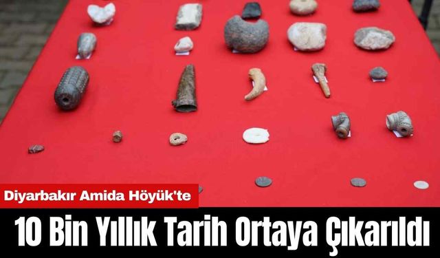 Amida Höyük'te 10 Bin Yıllık Tarih Ortaya Çıkarıldı