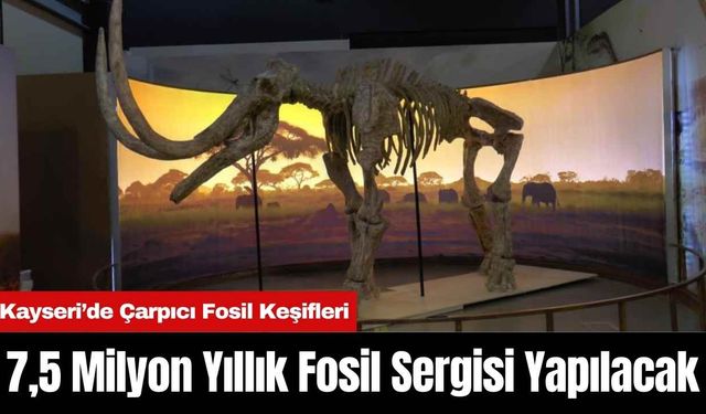 Kayseri’de 7,5 Milyon Yıllık Fosil Sergisi Yapılacak