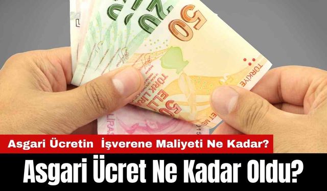 Asgari Ücret Ne Kadar Oldu? Asgari Ücretin İşverene Maliyeti Ne Kadar Oldu?