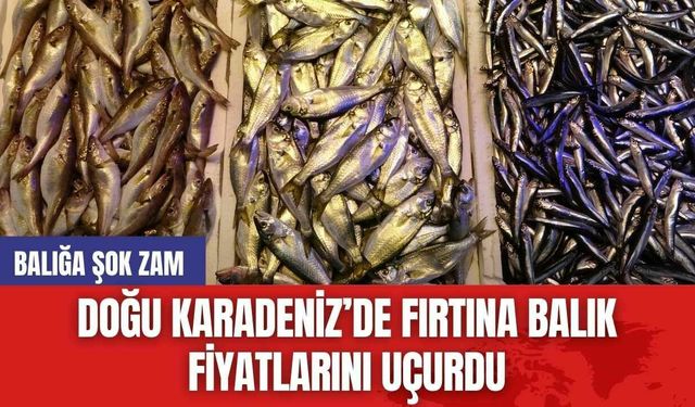 Doğu Karadeniz’de Fırtına Balık Fiyatlarını Uçurdu: Balığa Şok Zam