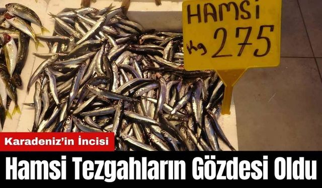 Karadeniz’in İncisi Hamsi Tezgahların Gözdesi Oldu