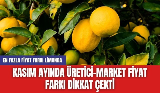 Kasım Ayında Üretici-Market Fiyat Farkı Dikkat Çekti: En Fazla Fiyat Farkı Limonda