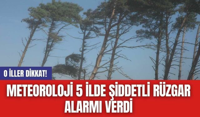 Meteoroloji 5 ilde şiddetli rüzgar alarmı verdi