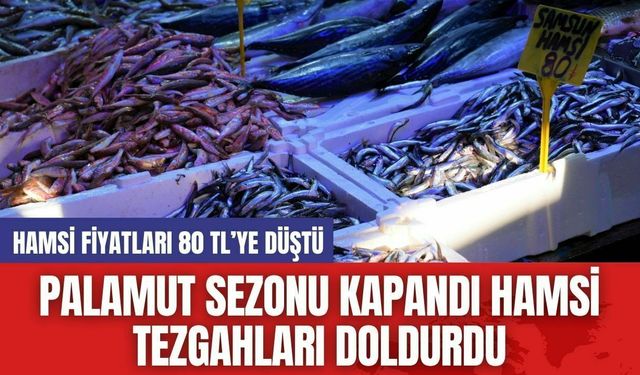 Palamut Sezonu Kapandı Hamsi Tezgahları Doldurdu