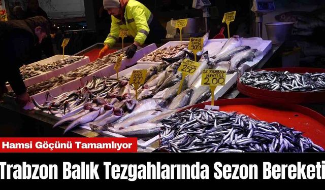 Trabzon Balık Tezgahlarında Sezon Bereketi