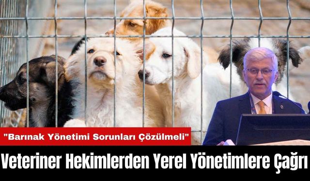 Veteriner Hekimlerden Yerel Yönetimlere Çağrı