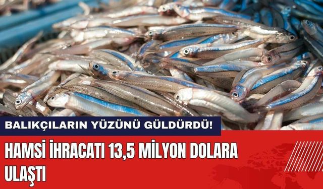 Hamsi İhracatı 13,5 Milyon Dolara Ulaştı