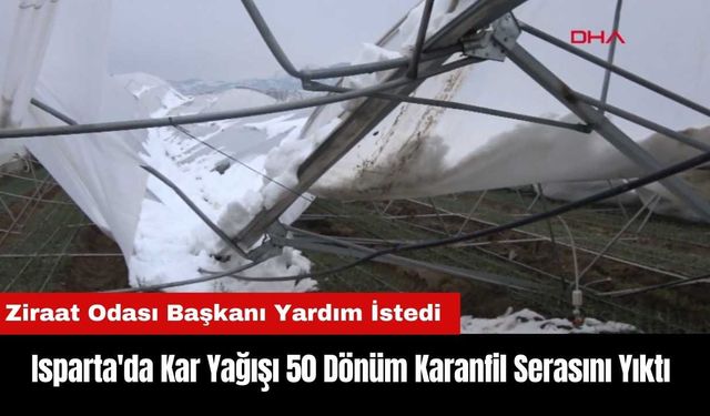 Isparta'da Kar Yağışı 50 Dönüm Karanfil Serasını Yıktı!