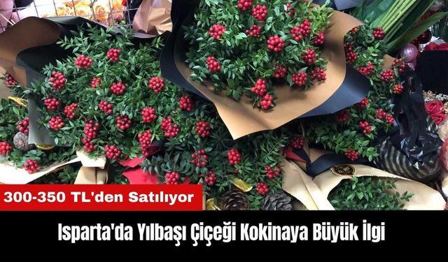 Isparta'da Yılbaşı Çiçeği Kokinaya Büyük İlgi