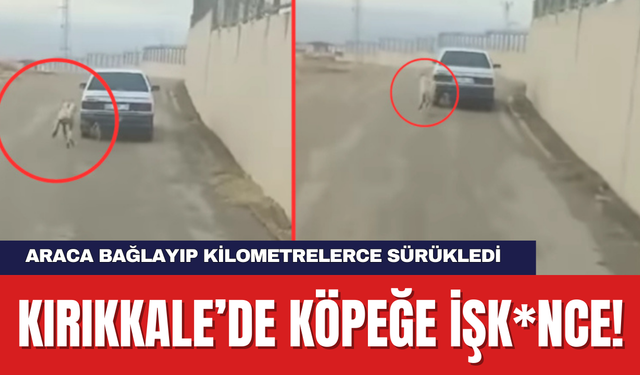 Kırıkkale’de Köpeğe İşk*nce! Araca Bağlayıp kilometrelerce sürükledi