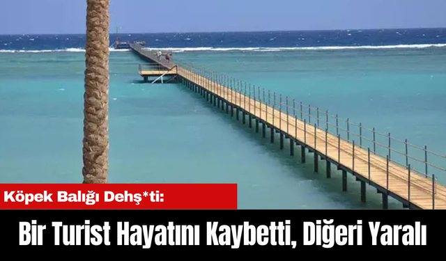 Köpek Balığı Dehş*ti: Bir Turist Hayatını Kaybetti, Diğeri Yaralı