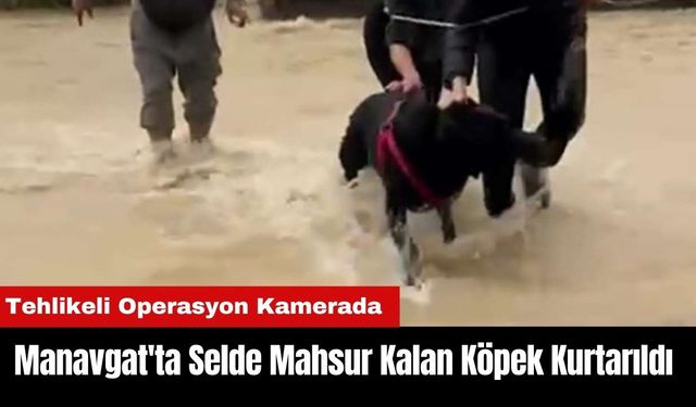 Manavgat'ta Sel Sularında Mahsur Kalan Köpek Böyle Kurtarıldı