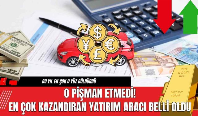 O Pişman Etmedi! En Çok Kazandıran Yatırım Aracı Belli Oldu