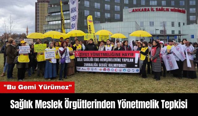 Sağlık Meslek Örgütlerinden Yönetmelik Tepkisi: "Bu Gemi Yürümez"