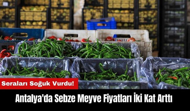 Seraları Soğuk Vurdu! Antalya'da Sebze Meyve Fiyatları İki Kat Arttı