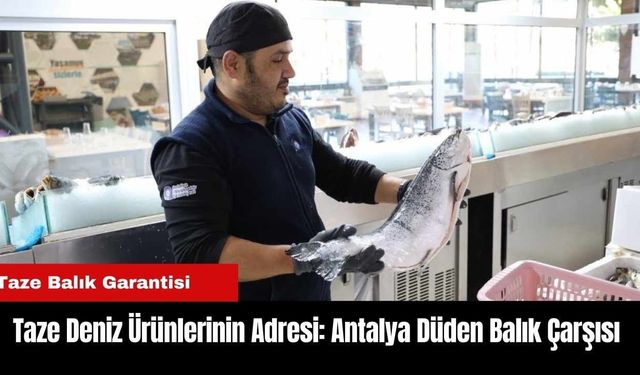 Taze Deniz Ürünlerinin Adresi: Antalya Düden Balık Çarşısı