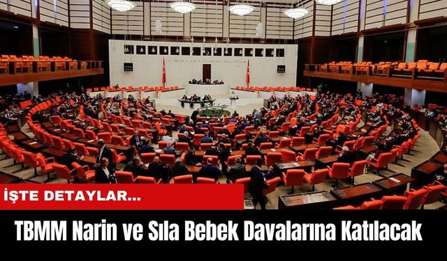 TBMM Narin ve Sıla Bebek Davalarına Katılacak