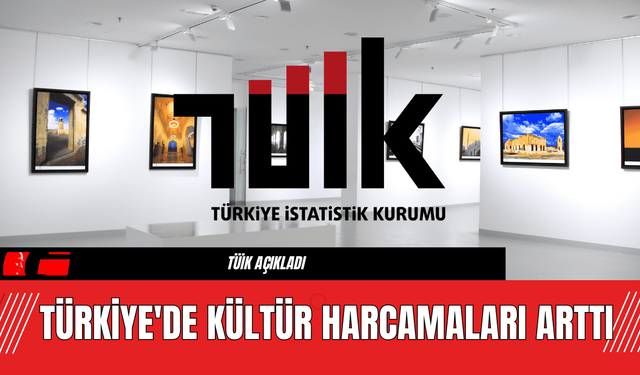 Türkiye'de Kültür Harcamaları Arttı