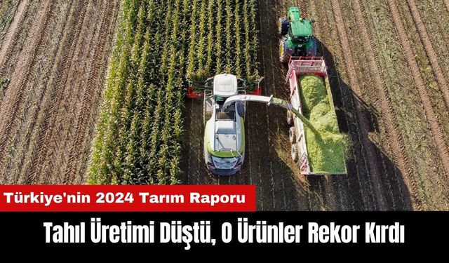 Türkiye'nin 2024 Tarım Raporu: Tahıl Üretimi Düştü O Ürünler Rekor Kırdı