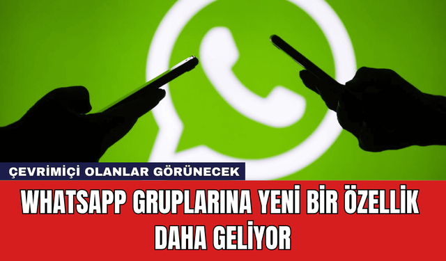 WhatsApp Gruplarına Yeni Bir Özellik Daha Geliyor