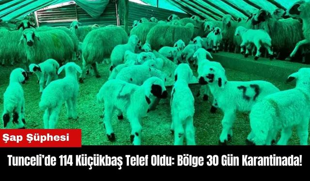 114 Küçükbaş Telef Oldu: Bölge 30 Gün Karantinada