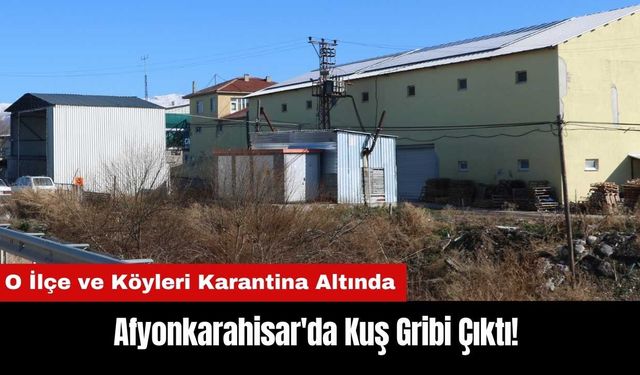 Afyonkarahisar'da Kuş Gribi Çıktı! O İlçe ve Köyler Karantina Altında