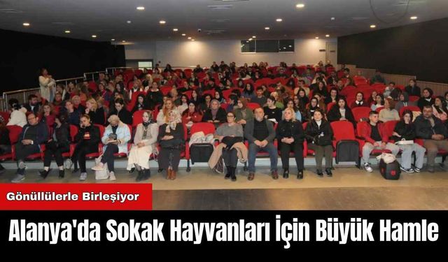 Alanya'da Sokak Hayvanları İçin Büyük Hamle