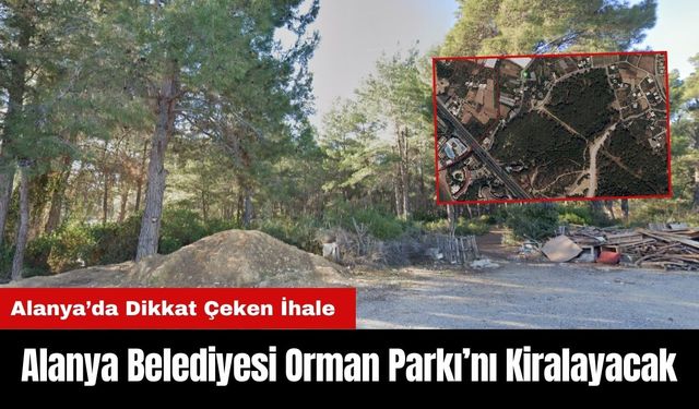 Antalya Alanya'da Dikkat Çeken İhale!