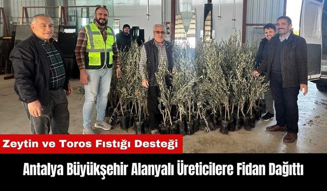 Antalya Büyükşehir Alanyalı Üreticilere Fidan Dağıttı