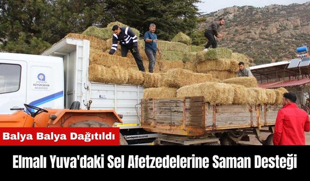 Antalya Büyükşehir'den Elmalı Yuva'daki Afetzede Üreticilere Saman Desteği