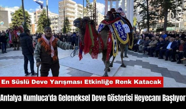 Antalya Kumluca'da Geleneksel Deve Gösterisi Heyecanı Başlıyor