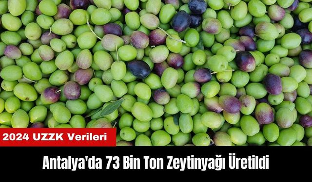 Antalya'da 73 Bin Ton Zeytinyağı Üretildi