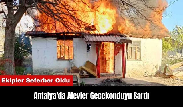 Antalya'da Alevler Gecekonduyu Sardı