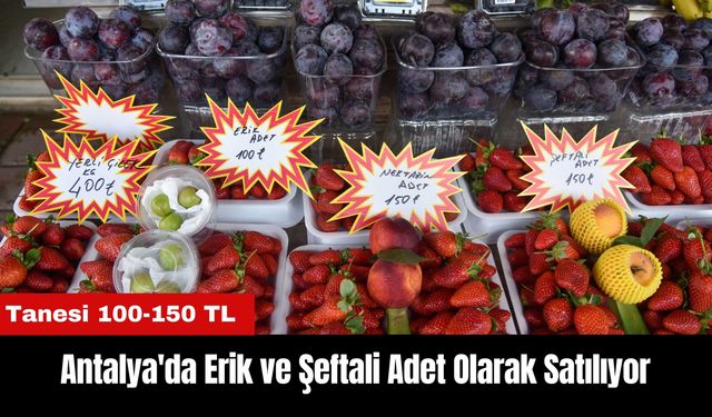 Antalya'da Erik ve Şeftali Adet Olarak Satılıyor: Tanesi 100-150 TL