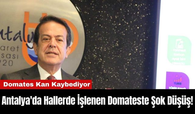 Antalya'da Hallerde İşlenen Domateste Şok Düşüş!