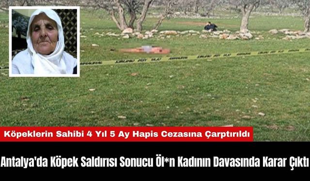 Antalya'da Köpek Saldırısı Sonucu Öl*n Kadının Davasında Karar Çıktı