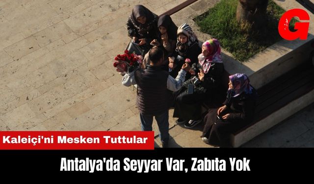 Antalya'da Seyyar Var Zabıta Yok! Kaleiçi'ni Mesken Tuttular