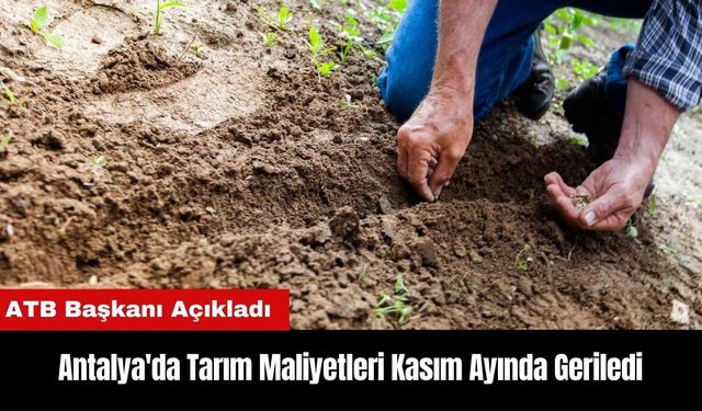 Antalya'da Tarım Maliyetleri Kasım Ayında Geriledi