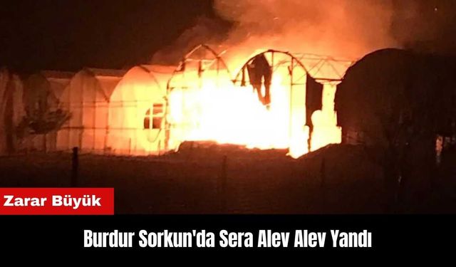 Burdur Sorkun'da Sera Alev Alev Yandı