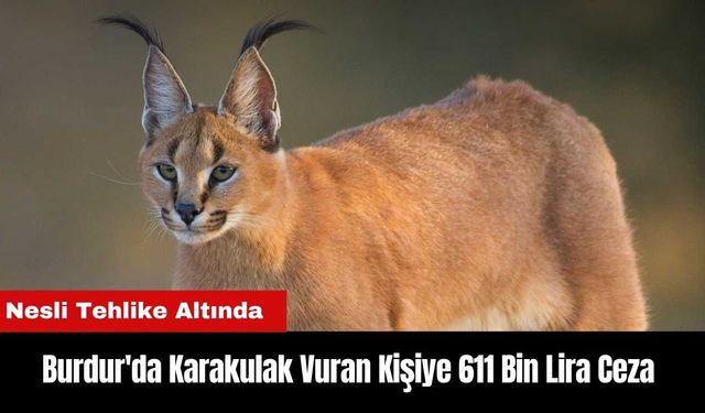 Burdur'da Karakulak Vuran Kişiye 611 Bin Lira Ceza!